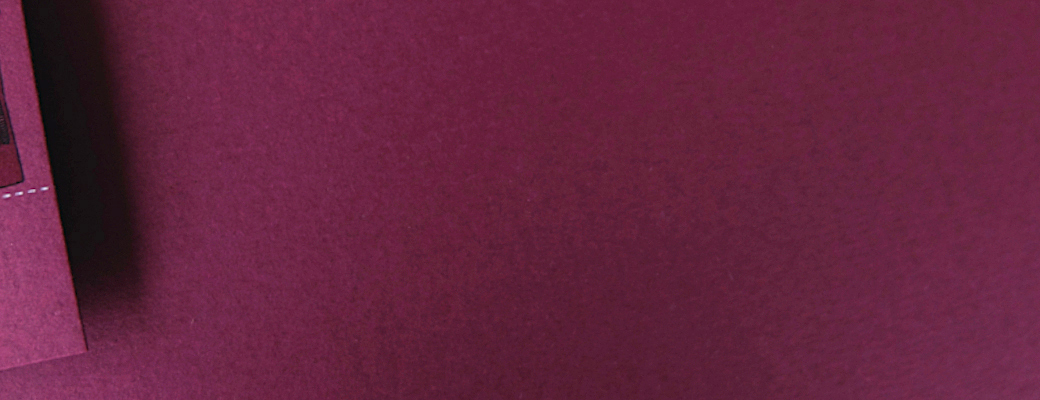 EXTRA purpur matt Muster